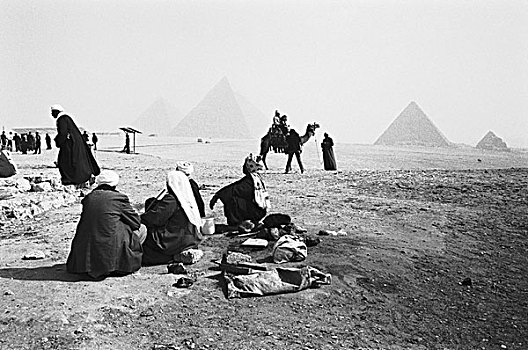 开罗,埃及,骆驼,骑师,吉萨金字塔