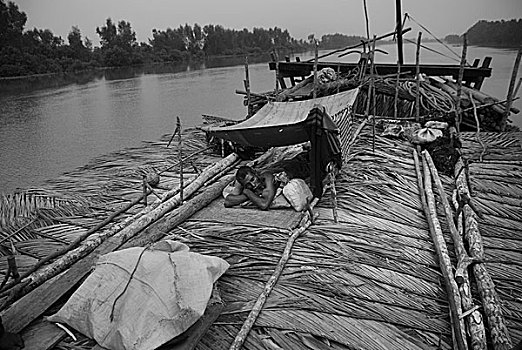 船,装载,棕榈树,收集,孙德尔本斯地区,植物,屋顶,乡村,家,库尔纳市,孟加拉,2009年
