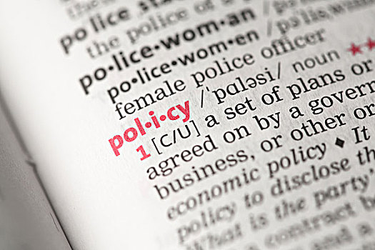 政策,定义,字典