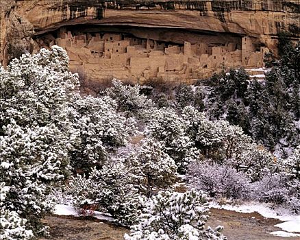 悬崖,宫殿,冬天,风暴,梅萨维德国家公园,科罗拉多