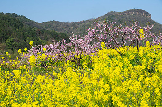 湖北大冶沼山森林公园春季风光