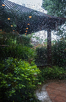 下雨天的玻璃