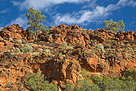 红岩,国家公园,北领地州,澳大利亚