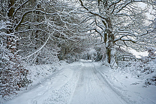 积雪,乡村道路