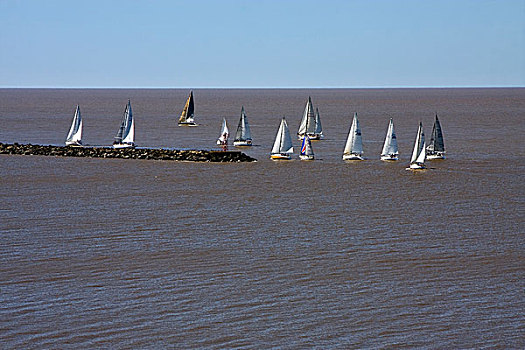 船,河,拉普拉塔河,南美洲,靠近,萨克拉门托,乌拉圭
