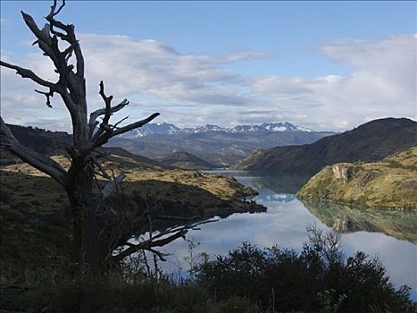 反射,云,水中,裴赫湖,托雷德裴恩国家公园,巴塔哥尼亚,智利