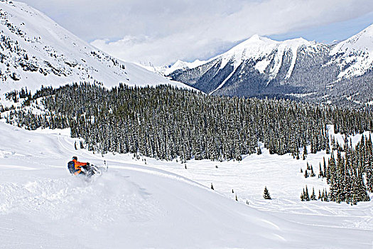 孤单,雪地机车,道路,清新,粉末,北方,区域,靠近,不列颠哥伦比亚省,加拿大