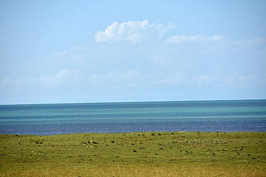 青海湖