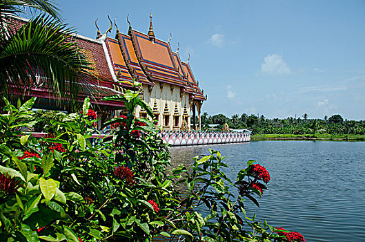 泰国,苏梅岛,寺院,佛教寺庙,中心,景色,湖