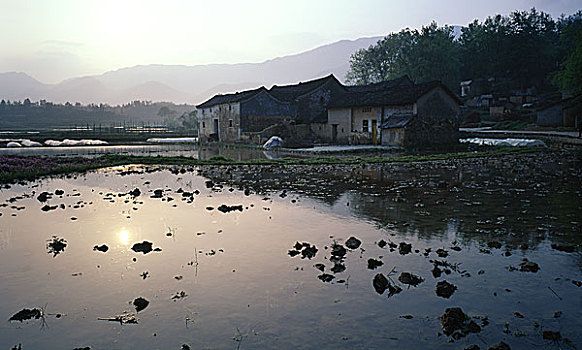 水田村庄