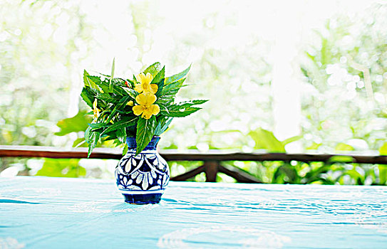 黄色,野花,小,蓝色,花瓶,桌子