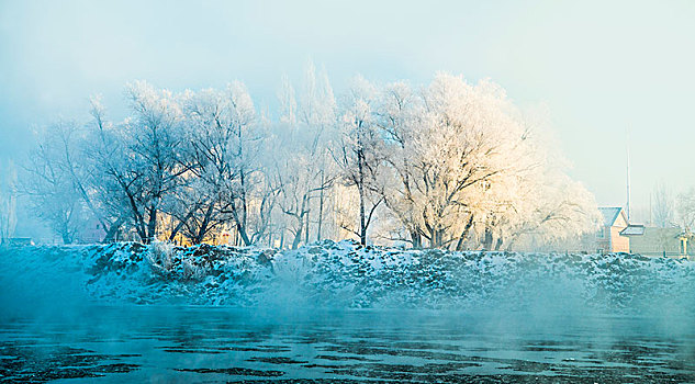 冬日,雪景,雪地,蓝天,雾松