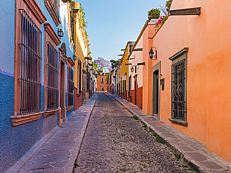 墨西哥,圣米格尔,彩色,街景,画廊