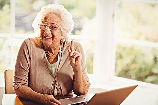 微笑,老年,女人,抬起,手指,使用笔记本,在家