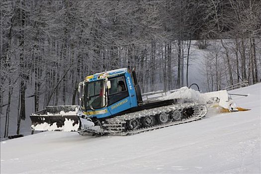 雪,黑森州,德国,欧洲