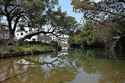 婺源,春天,油菜花,徽派,建筑,晓起,风情,风景,风光,乡村,民居