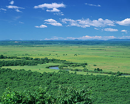 钏路,湿地,观测