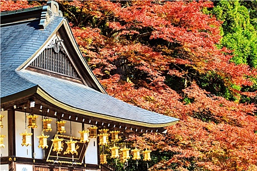 寺院,攀升,远眺,京都