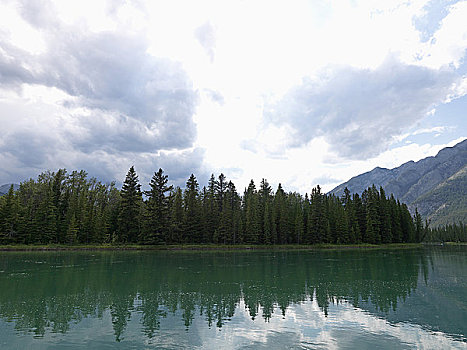 反射,树,水中,弓河,班芙国家公园,艾伯塔省,加拿大