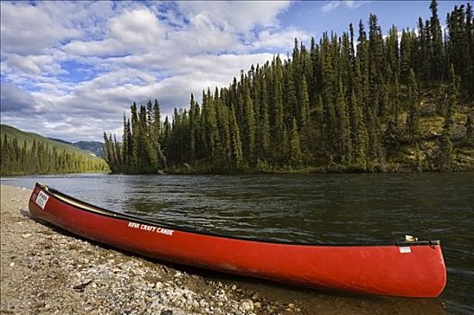 红色,独木舟,岸边,大,三文鱼,河,育空地区,加拿大,北美