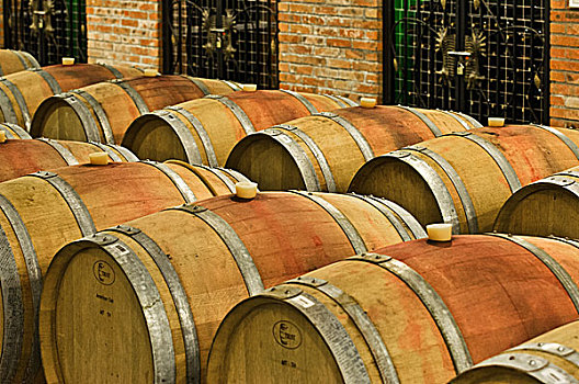 红葡萄酒酒窖