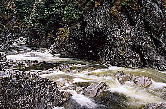 溪流,省立公园,平台,不列颠哥伦比亚省,加拿大