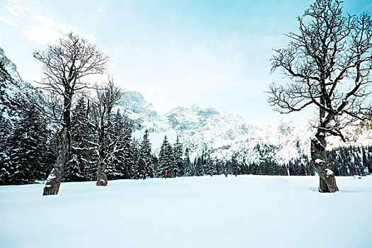 奥地利,提洛尔,山,滑雪