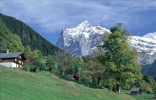 农场,正面,贝塔峰,阿尔卑斯山,伯恩高地,瑞士