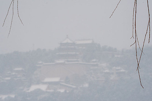 颐和园雪