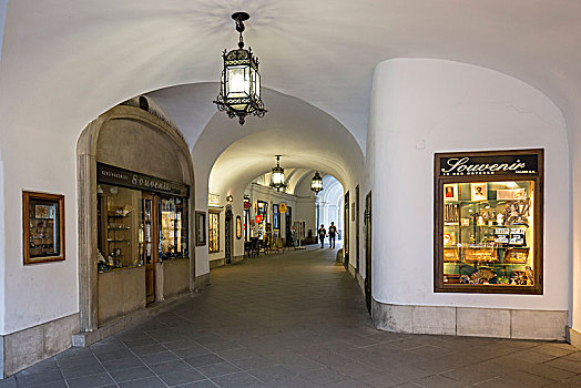 霍夫堡,通道,纪念品,商店,地区,维也纳,奥地利