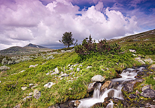 风景,顶峰,国家公园,挪威,斯堪的纳维亚,欧洲