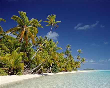 环礁,棕榈树,热带沙滩,海洋,沙子,艾图塔基,南太平洋,玻利尼西亚,库克群岛