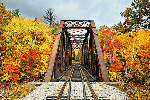 铁路桥,木头,彩色,叶子,白色,山