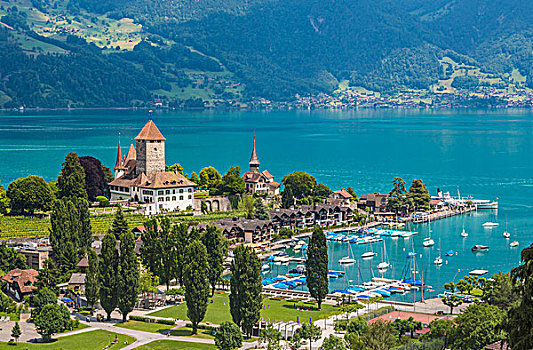 瑞士,湖
