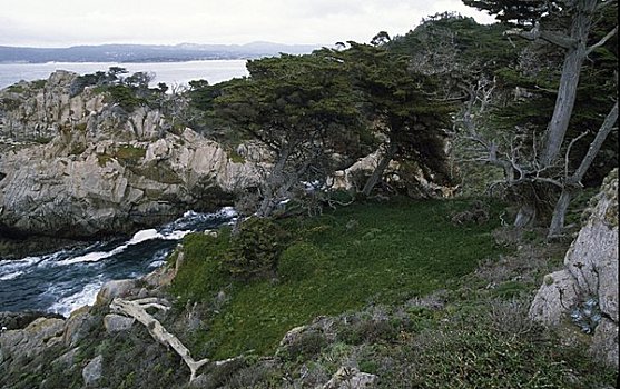 岩石构造,海岸,罗伯士角州立保护区,加利福尼亚,美国