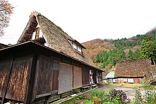 五箇山,房子,乡村