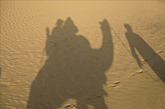 影子,骆驼,骑手,沙子,斋沙默尔,塔尔沙漠,拉贾斯坦邦,印度,南亚