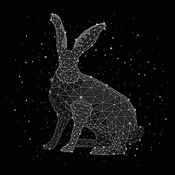 数码合成,图像,星座,兔子,黑色背景