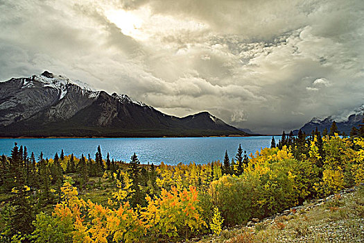 湖,秋色,山,背景,艾伯塔省,加拿大