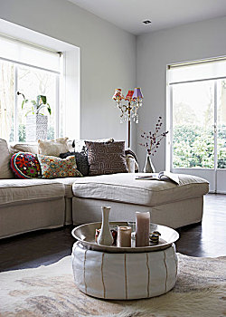 鲜明,客厅,托盘,软躺椅,茶几,舒适,沙发,漂亮,落地灯,角