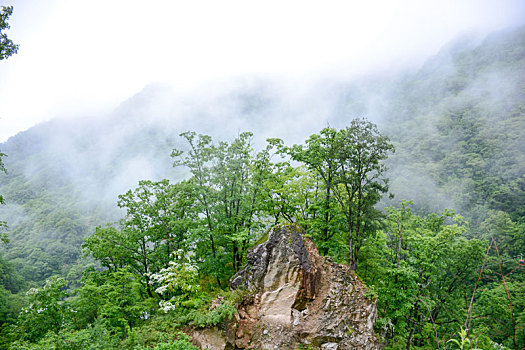 牛背,森林公园