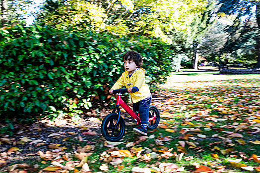 幼儿,骑自行车,公园