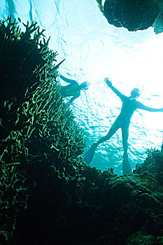 潜水,洞穴,开着,水面,米尔恩湾,巴布亚新几内亚