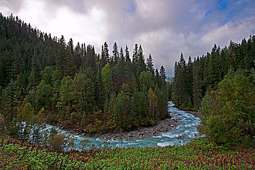 河,马掌,弯曲,山,省立公园,北方,尖,区域,不列颠哥伦比亚省,加拿大