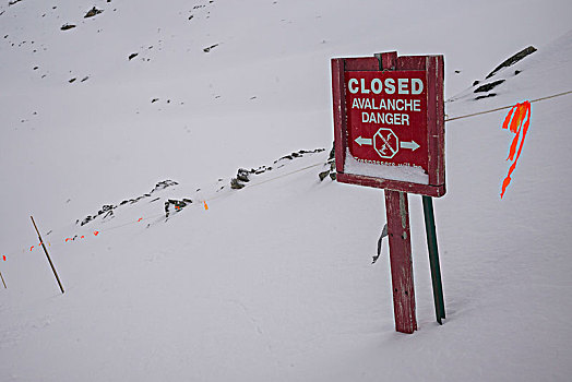 雪崩,危险,标识,斜坡,加拿大