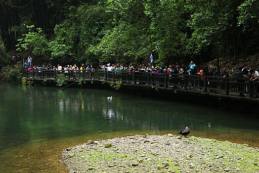 宜昌,三峡人家,长江,运输,航道,民俗,表演,风景,景点,旅游,高山,瀑布,河流,神秘,树木,植被,峡谷,壮观