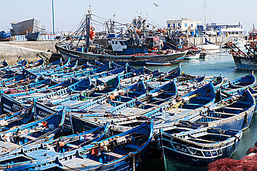 摩洛哥,苏维拉,小船,系,港口