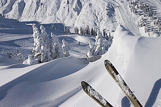 奥地利,希尔弗莱塔,前景,滑雪,冬天,高地,山,蒙塔丰,冬季运动,运动,高山滑雪板,高山运动,爱好,休闲,活动