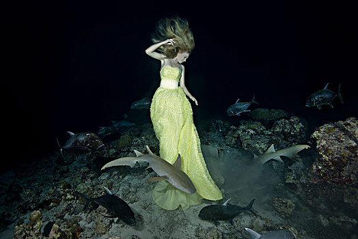 美女,黄色,连衣裙,姿势,水下,护理,鲨鱼,夜晚,印度洋,马尔代夫,亚洲