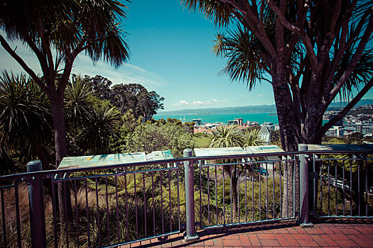 风景,惠灵顿,新西兰